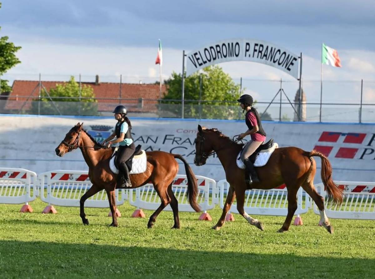 Torna a San Francesco al Campo la 24ª edizione della Festa del Cavallo: tre giorni tra gastronomia, spettacoli, tradizione 